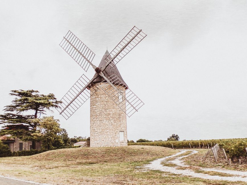 Vigneto e vino italiano