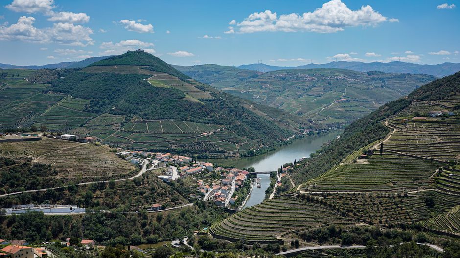 Weinberg und italienischer Wein