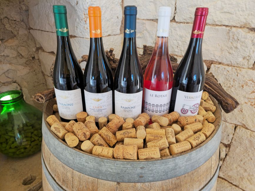 Italian vineyard with wine bottles for export