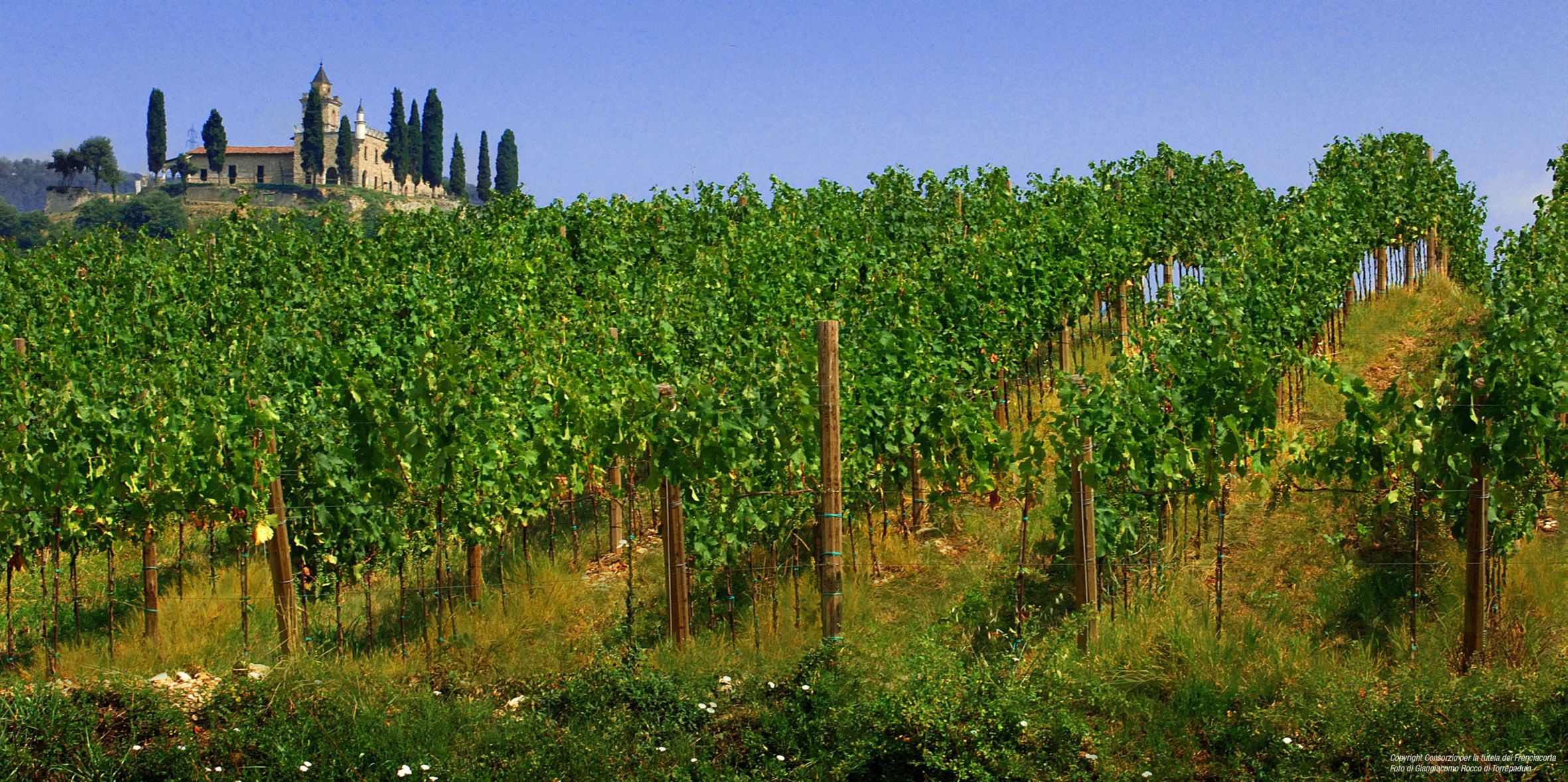 Franciacorta: Export und Regelwerk, Editorial-Fotografie