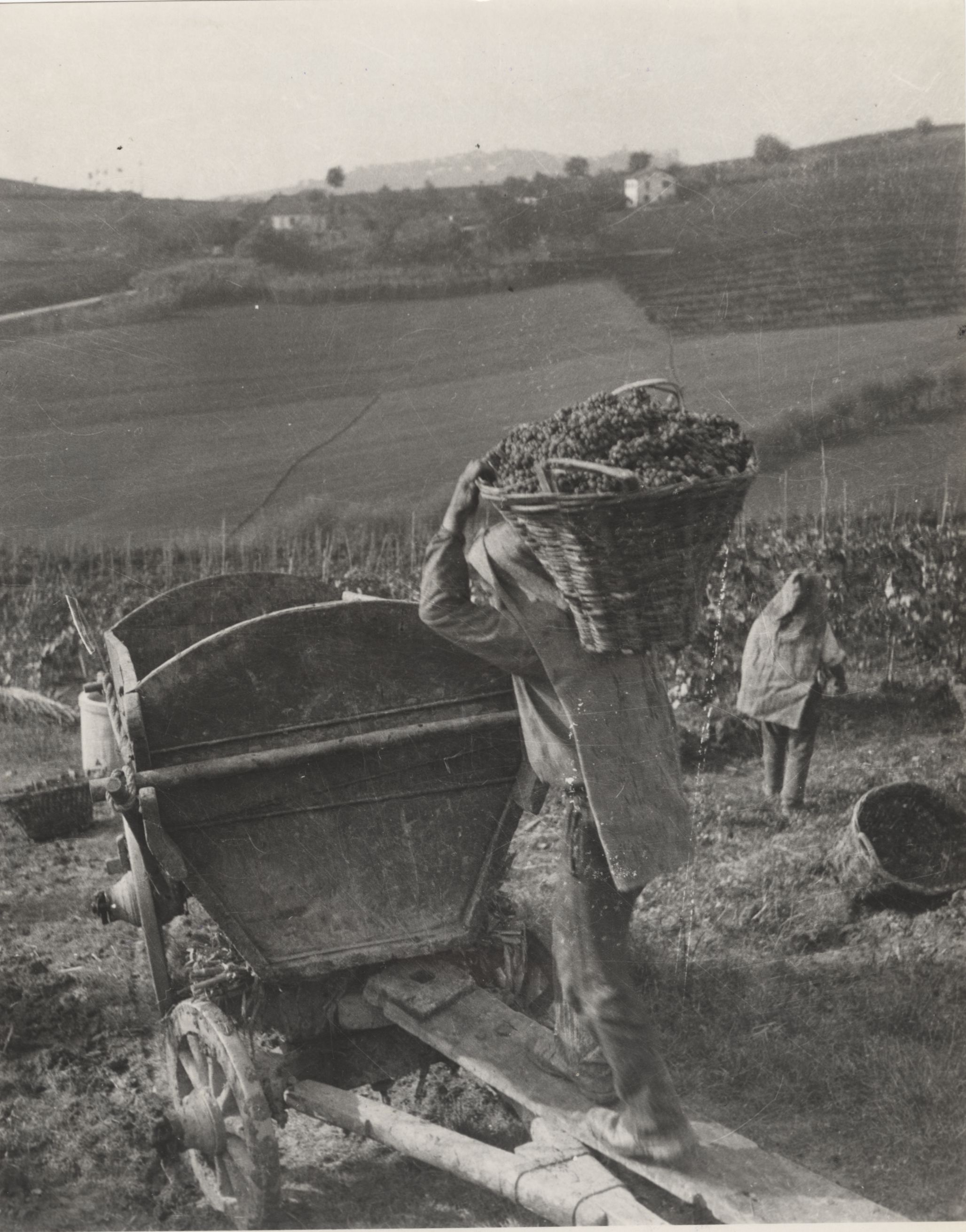 Roero Langhe: Production Regulations and Export Opportunities, editorial photograph