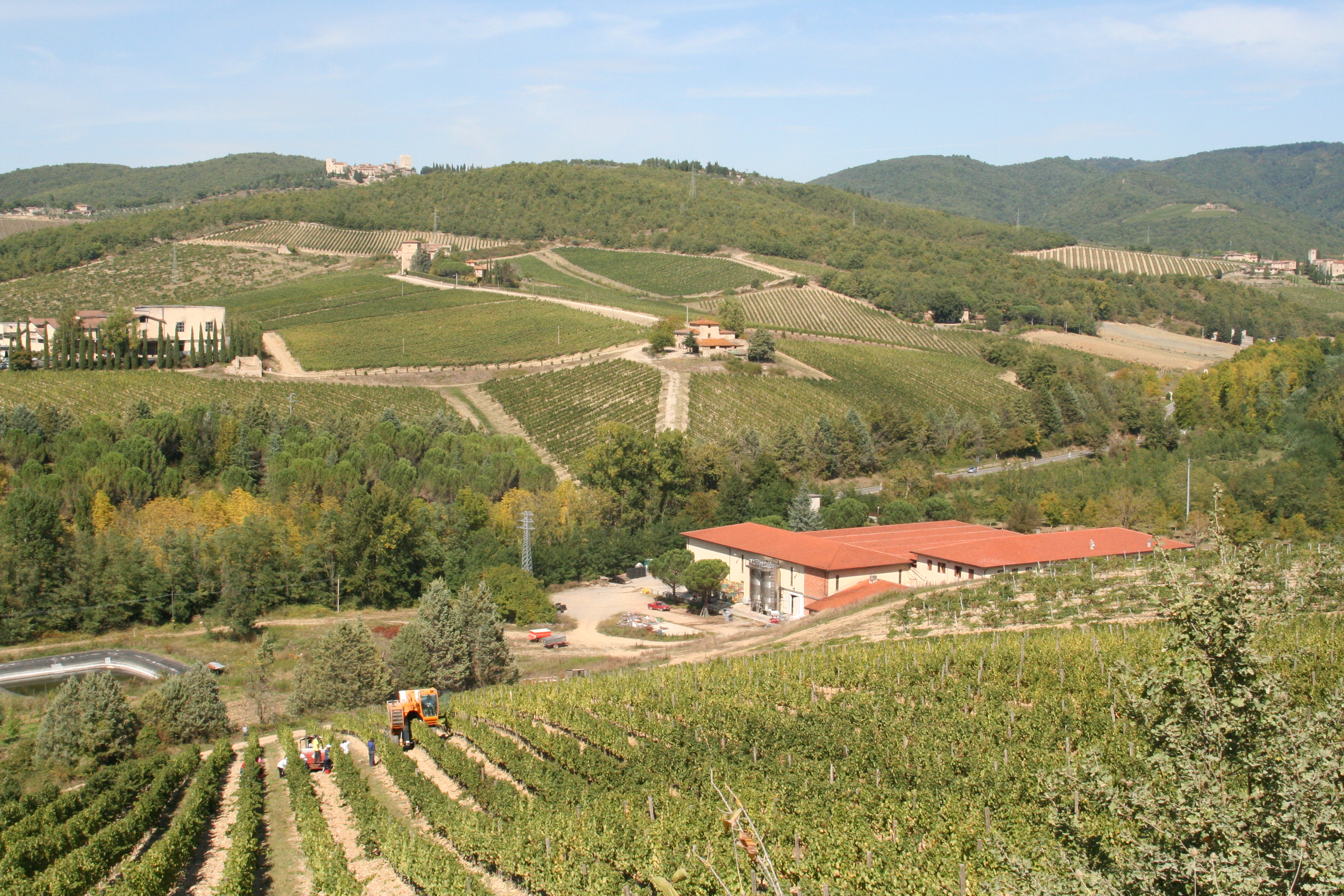 Chianti DOCG: Guía para la exportación, fotografía editorial