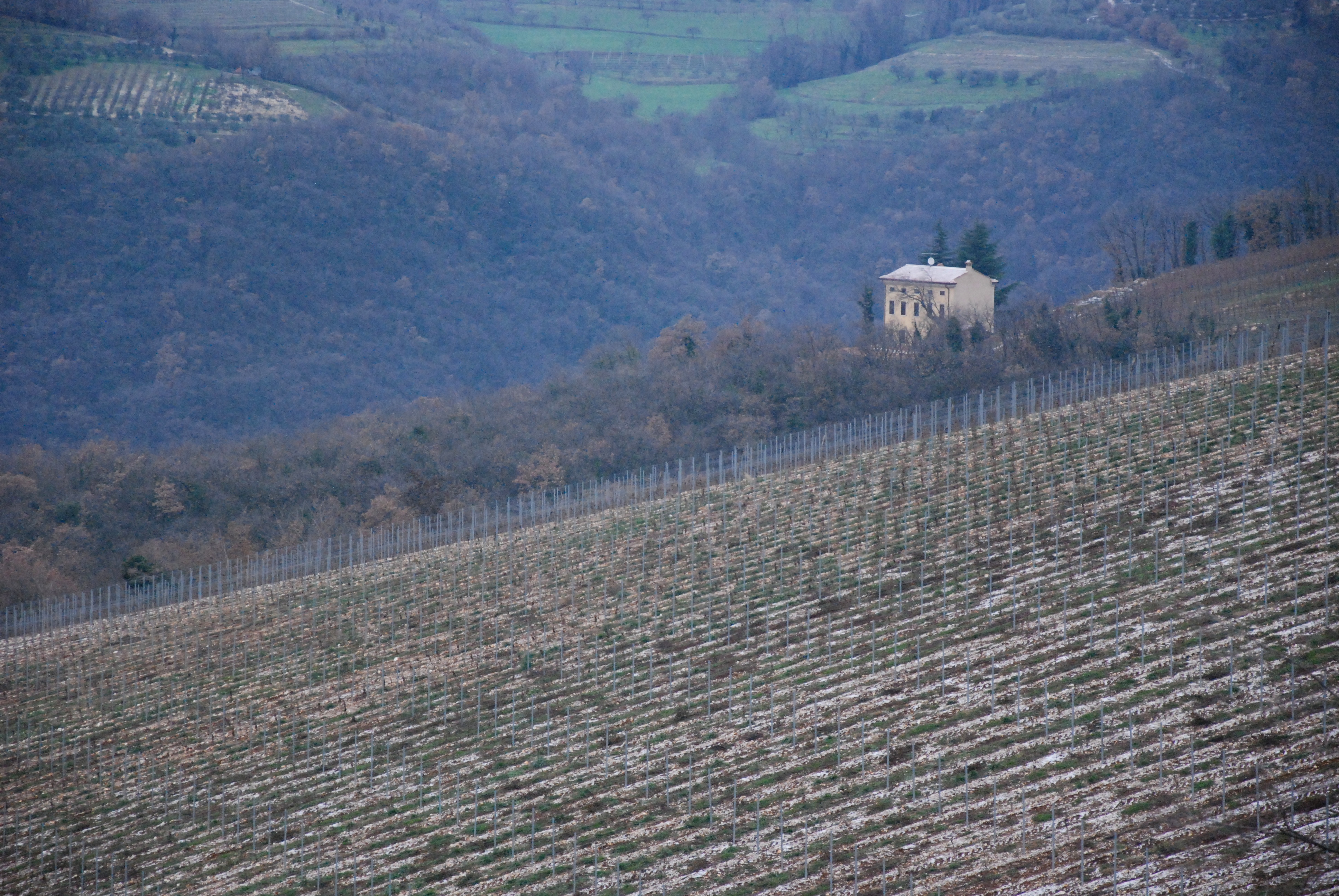 Valpolicella : Guide pour les importateurs et cahier des charges, photographie éditoriale