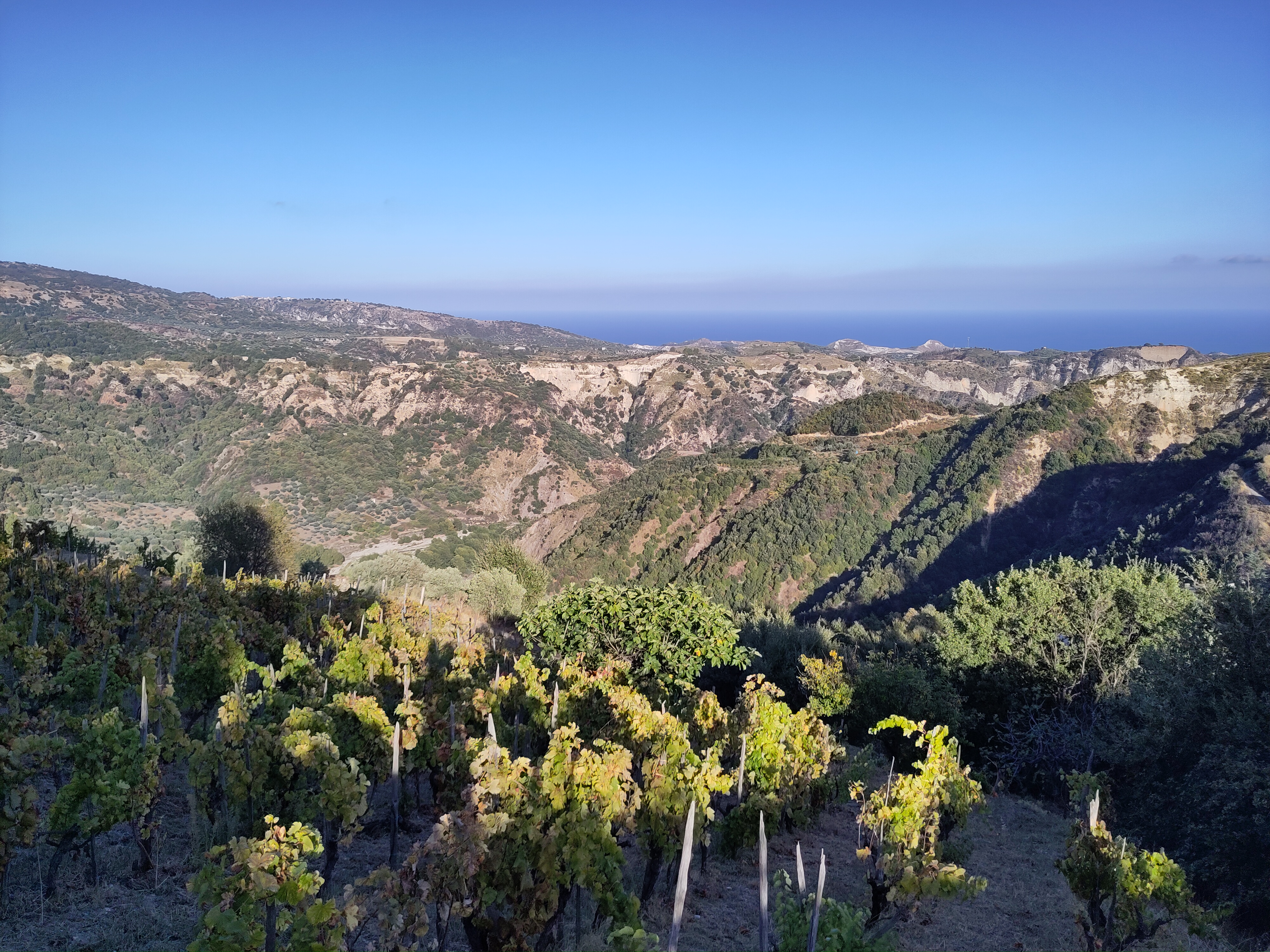 Esportare vino Calabria: Guida per acquirenti, editorial photograph
