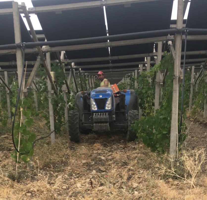 Exportar Vino desde Taranto: Guía para Bodegas de Apulia, fotografía editorial