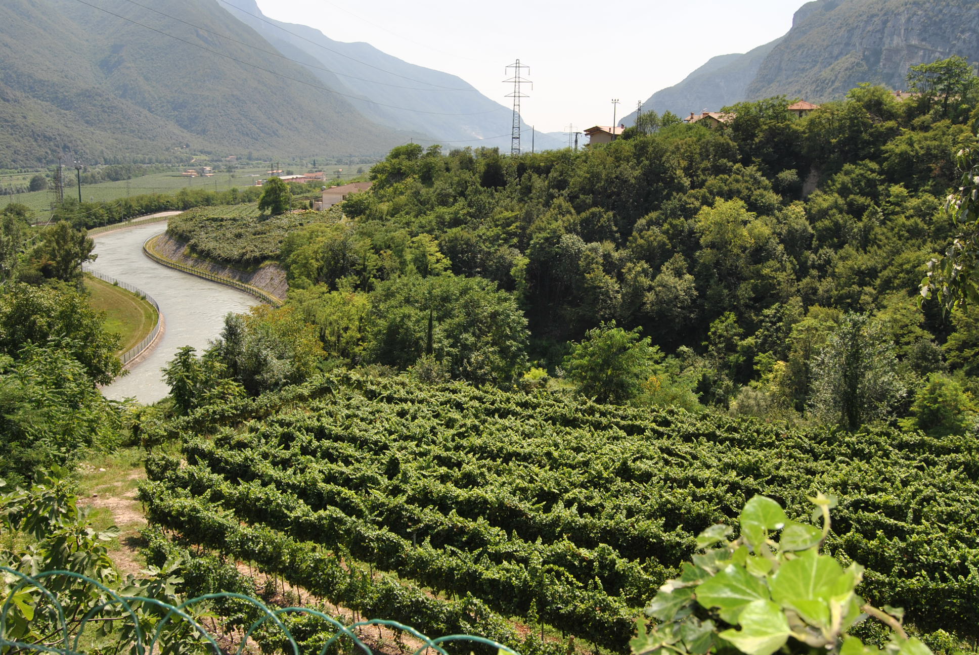Vino Trento: Guida Cantine Italiane, editorial photograph