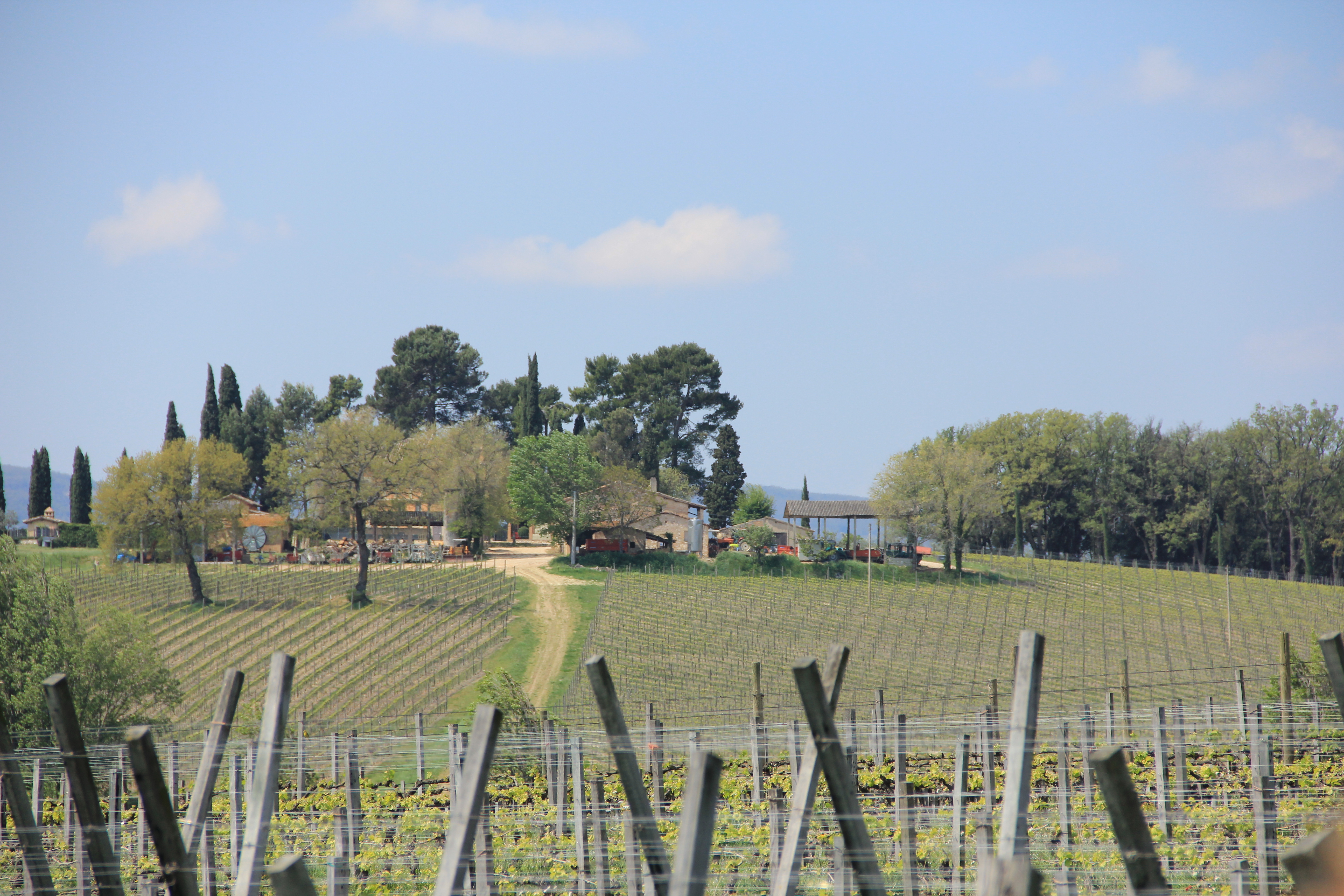Esportare Vino Umbria: Guida per Acquirenti, editorial photograph