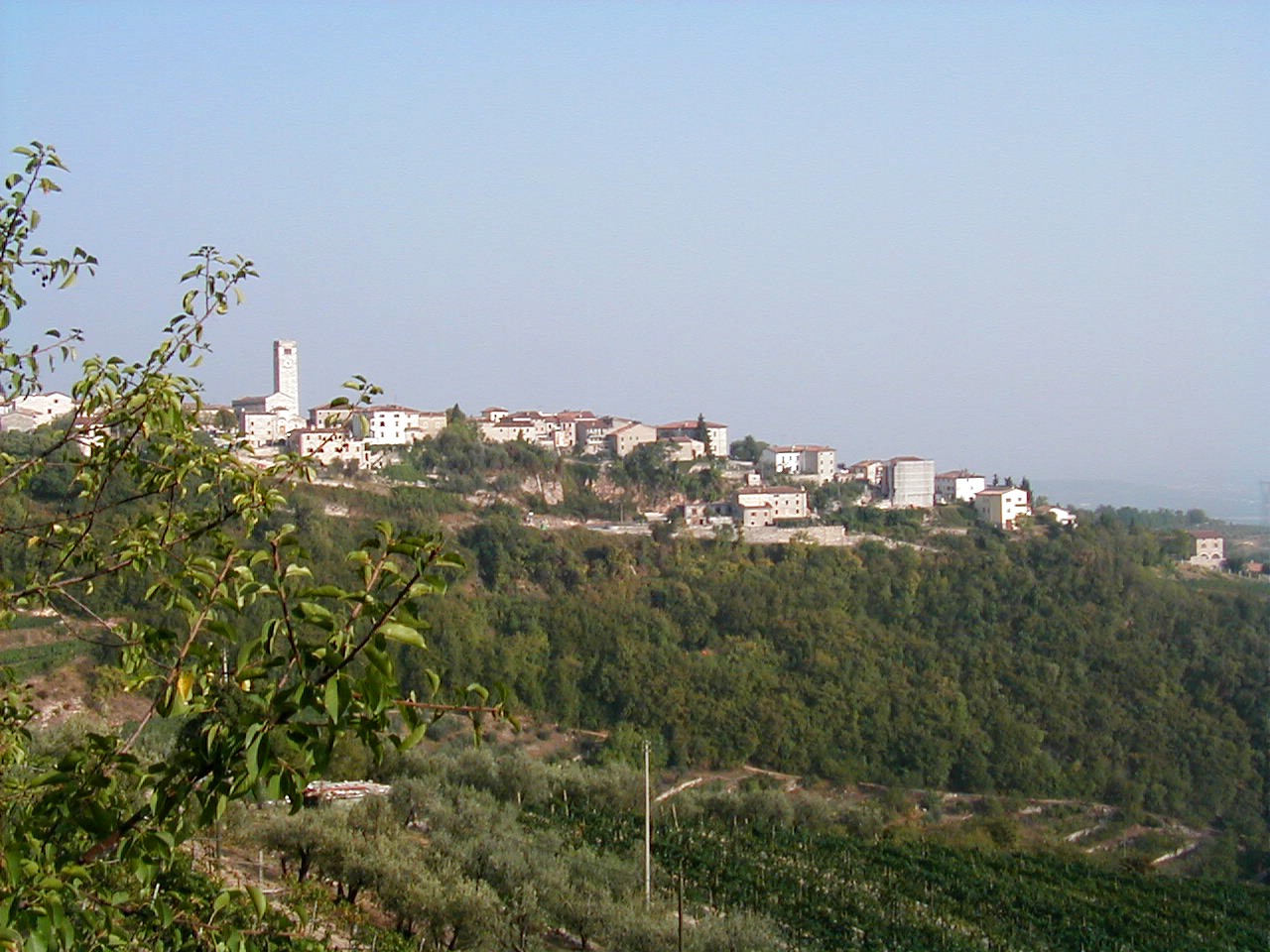 Esportare vino veneto: guida importatori, editorial photograph