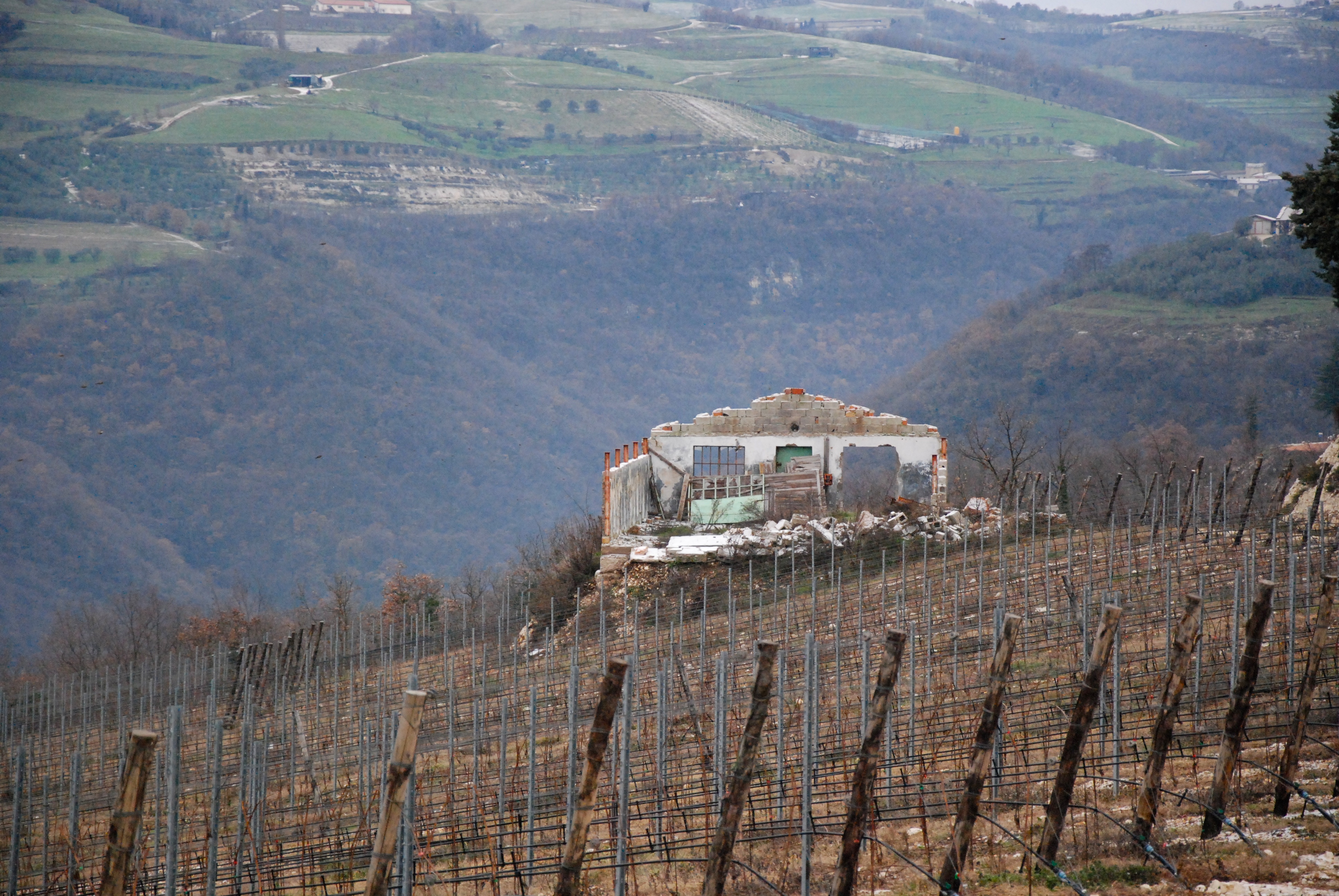 Exportar vinos de Verona: guía para bodegas, fotografía editorial