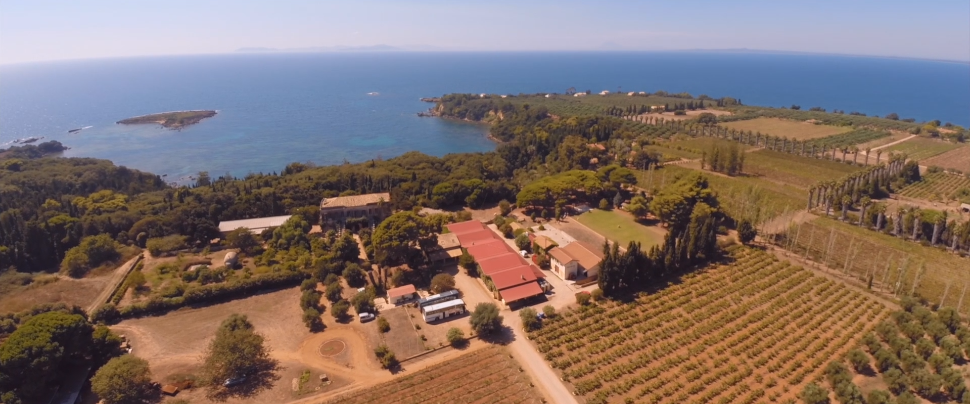 Refosco Rebsorte, Wein-Trauben Foto
